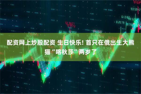 配资网上炒股配资 生日快乐! 首只在俄出生大熊猫“喀秋莎”两岁了
