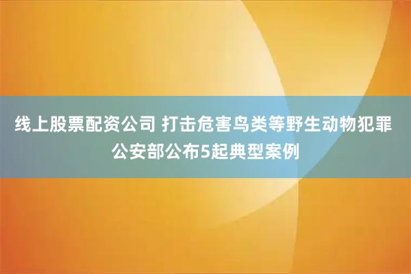 线上股票配资公司 打击危害鸟类等野生动物犯罪 公安部公布5起典型案例